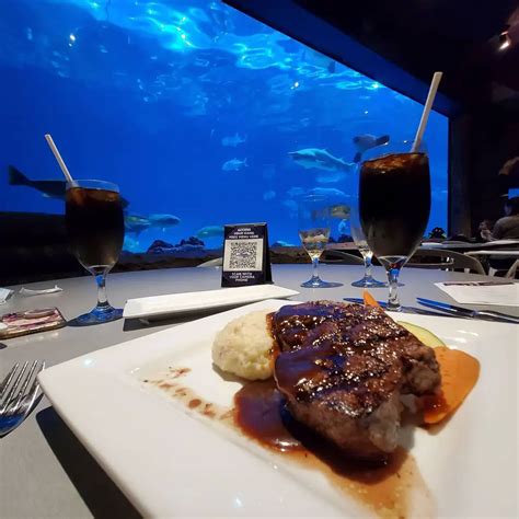 A One-of-a-Kind Experience: Sharks and Grilled Delights at the Underwater Grill